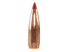 .224 Hornady V-MAX 55 GR