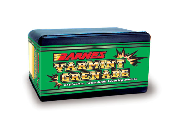 .224 Barnes 36 GR VG FB - PER 100