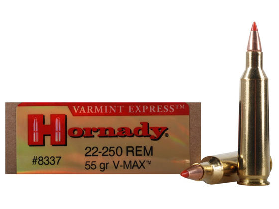 22-250 Hornady V-max 55 grains