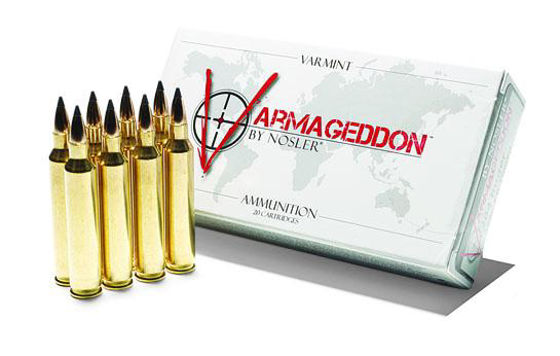 17 Remington Nosler Varmageddon 20gr FB Tipped (20 ct.)