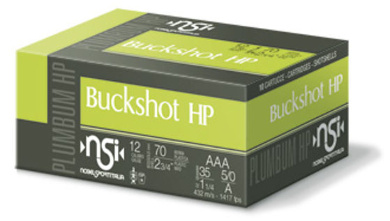 12/70 NSI Buck HP,  AAA/ca.44 Hagl, 10 pk