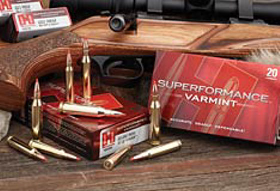 222 Rem Hornady Superformance V-max 50 grs 20 pk.