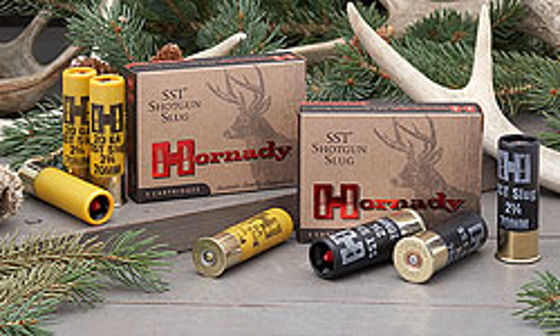 12/70 Hornady Sabot SST 300grs. 5pk.