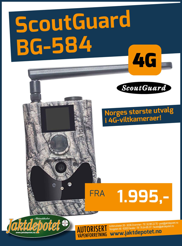 ScoutGuard BG 584-M, 4G, MMS