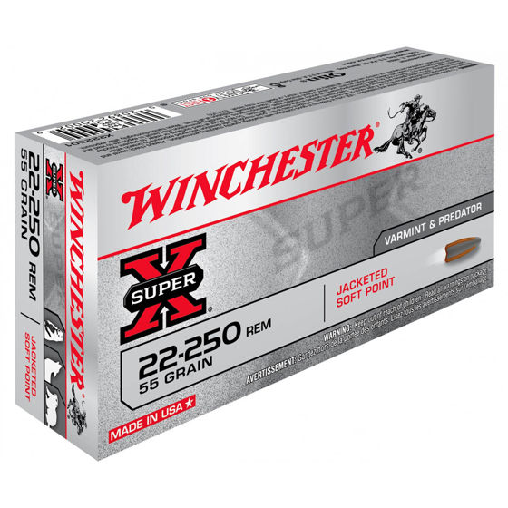 Winchester .22-250 55gr Power-Point