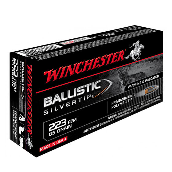 Winchester .223 55gr Ballistic Silvertip