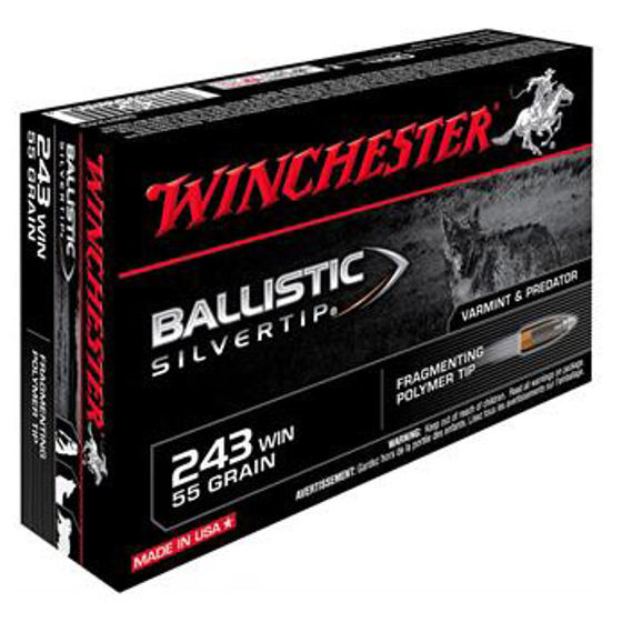 Winchester Ballistic Silvertip .243 Win 55gr