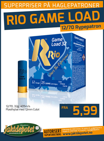 Bilde av 12/70 Rio Game Load 32g No