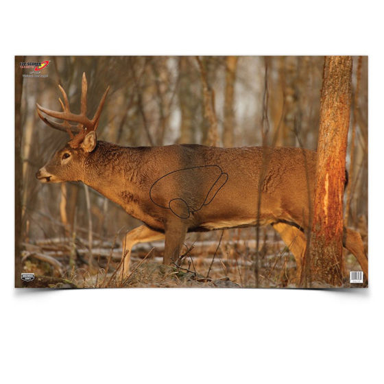 Bilde av "Shoot-N-C Whitetail Deer 23""x35"" - 12 pakk"