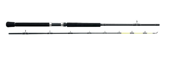 Bilde av Ron Thompson  Salmonizer XP 8' 12-25lbs delt