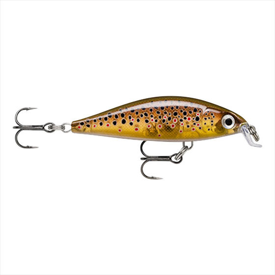 Bilde av Rapala X-Light Minnow 5cm 4gr