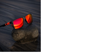 Bilde av Guideline LPX Solbriller - Amber Lens